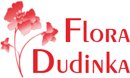 Интернет-магазин доставки цветов «Flora Dudinka» - Город Дудинка logo2.png